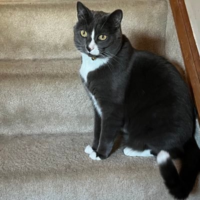 jrpods's profile picture. 