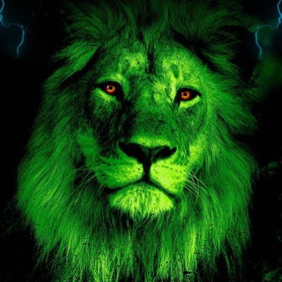 I’m a furry and a YouTuber I’m a male 9th grade high school student 🏳️🌈🏳️🌈🏳️🌈 10-5-2010 |Lvl 14| still call twitter twitter not x