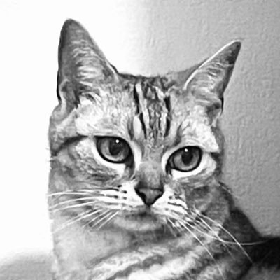 020304Nina's profile picture. 旅行✈️🛳🚅・ﾄﾞﾗｲﾌﾞ🚘・映画📽️・花🌻・⛸️・🐈‍⬛🐈が好きᨼ気ままにﾂｲｰﾄしてます❣︎ DM✖︎🙇‍♀️