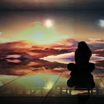 vieiirascamila's profile picture. Maranhense, Agrônoma e agora  tentando ser Analista de dados 🤓💻
