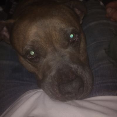 buffalophil21's profile picture. Normal dude that can't stand cults.