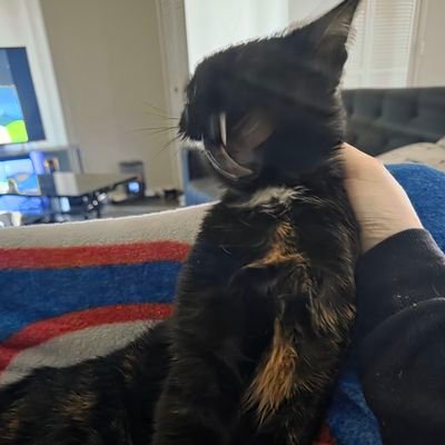 Kanade22121's profile picture. Vibing through the times