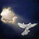 Darrell Gore - @kidd195777 - Twitter