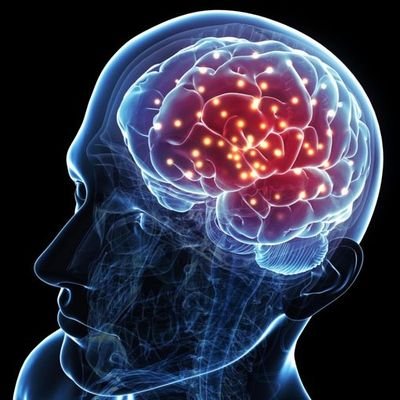 SonOfAristotle's profile picture. I am the Sole Voice of Reason, the ultimate destroyer of lies & sophistry. Heed my words.

I enjoy debate. Likes & Reposts ≠ Agreement