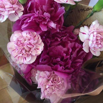 nana_webweb's profile picture. 