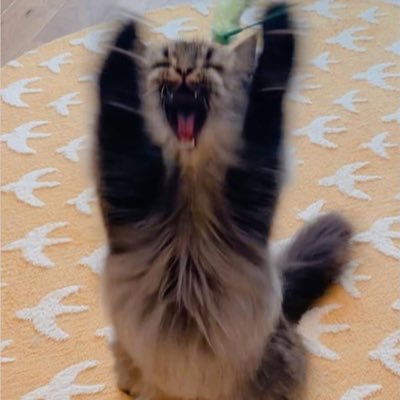 0XtBzSbruw64473's profile picture. 