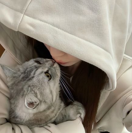 góc nhỏ của t để t đăng mấy cái linh tinh không tiếp người xamlon 🙋🏻♀️