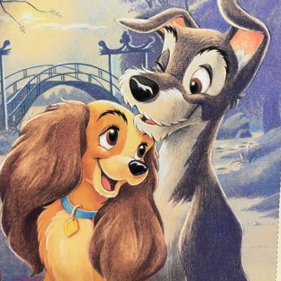 1118mmi's profile picture. わんわん物語オタ🐶レディトラ♡クラリス♡ミニー♡浦安市民🌊元年パス持ちショーパレオタ（ムービンオン、ハピホン、オーバー🫶💕）インスタはこちら⇨MEROMEROMERON06