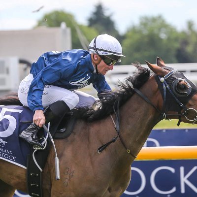 champagneracenz's profile picture. • Anna Furlong •
Providing excellence in Thoroughbred Horse Training from our stable at Riccarton Park, New Zealand 💙🤍