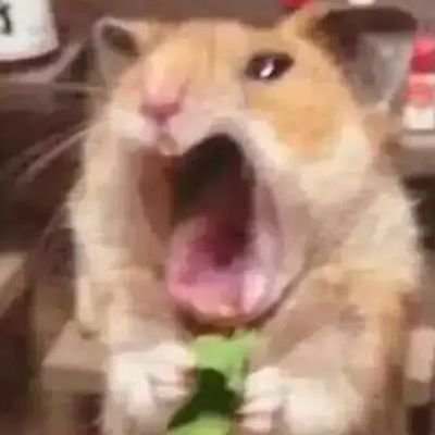 TuanPhamMi85388's profile picture. 