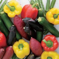 Bac Lieu Factory Vietnam Vegetables (@bl_fisjsc) 's Twitter Profile