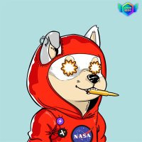 Leni $DOG (@matrix_photo63) 's Twitter Profile