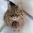 Joh75070514's profile image