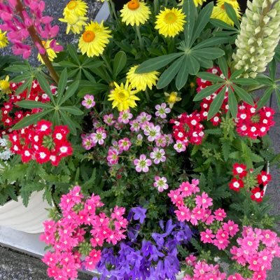 qgNjsMHvYU82091's profile picture. 食べる事が、大好き！和食、カレーライス！ 韓国語勉強中！ マレーシア、フィリピン、に行ったことがあります