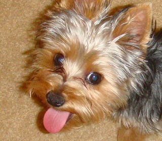 georgeskingdom's profile picture. 