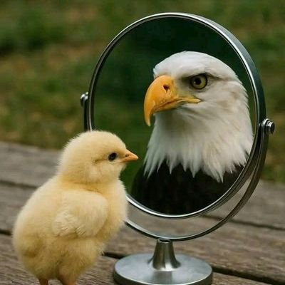 AbelyKanne's profile picture. 