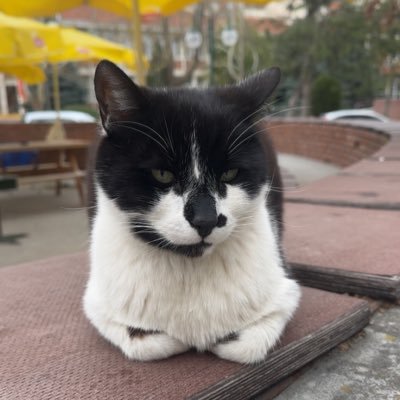 emir84477210's profile picture. 