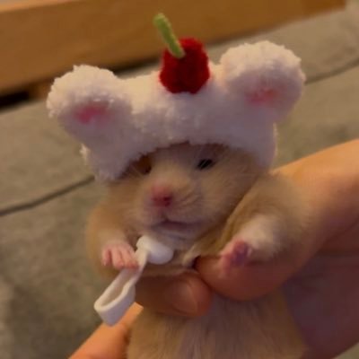 ♩さんのプロフィール画像