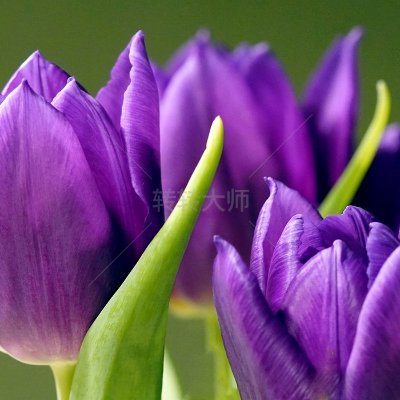 makeju89's profile picture. 7890666.bnb  （互FO）  
币圈撸毛人互关更佳   $FAR "💙 "