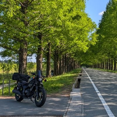 TorikawaBike's profile picture. ラーメンとバイク
レブル250/#バイク好き
無言フォロー失礼しますm(_ _)m