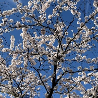 Iam_MK_17's profile picture. ♥️ Being Positive | ♥️ Music | Here in twitter for my brother @i_amak |  #Ashwinkumar