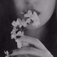 هيا 🩶 (@h___e15) 's Twitter Profile Photo هيا 🩶 (@h___e15) 's Twitter Profile Photo