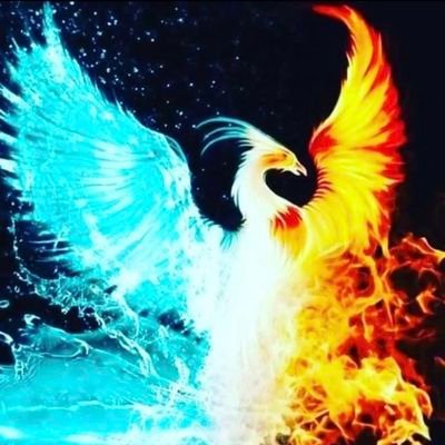 julidebox's profile picture. 💛💙💫🌟🌟🌟🌟🌟