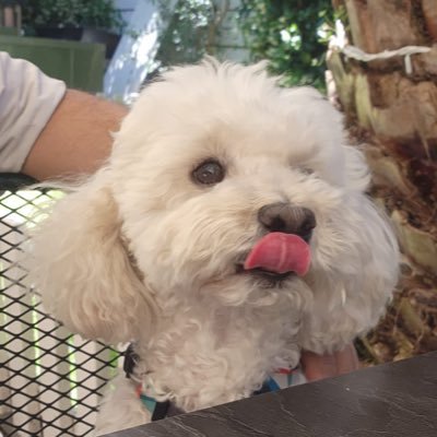 Aytlnar1's profile picture. Şanslıyım