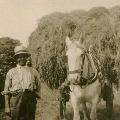 Old family and farm photos from Strickley. Plus snippets from old diaries.