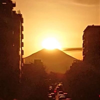 人がいかないところに行き 人が見たいというところに行き 人が知りたいと思うところに行く人 東京産まれ東京育ち東京在住 自称 クリエイティブィスト