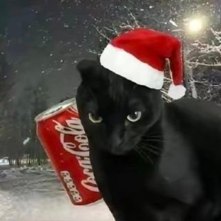 linuxz516205's profile picture. 