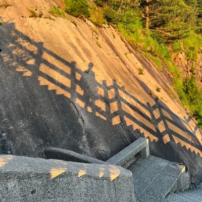 peng35787's profile picture. 