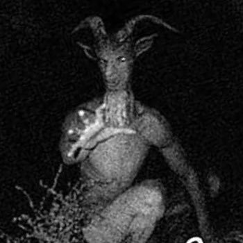 donerciabi58's profile picture. 