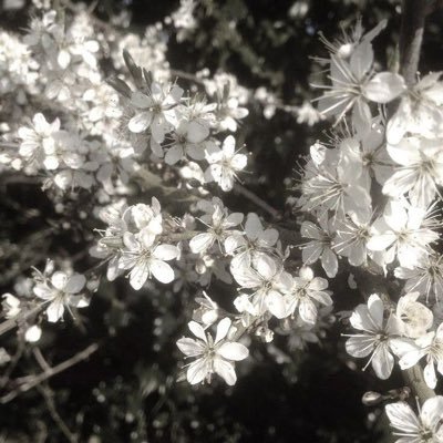 リンさんのプロフィール画像