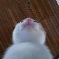 Me (@iommmmnnooonnn) 's Twitter Profile