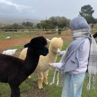 SolwaSameera's profile picture. 