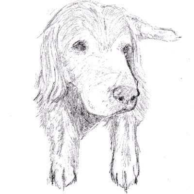 shun_oekaki_84's profile picture. おじさんになりました。クロッキーがうまくなりたいです。