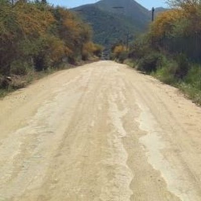 Kalakazar's profile picture. 