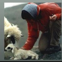 hatice koprulu (@kopruluhat87739) 's Twitter Profile Photo hatice koprulu (@kopruluhat87739) 's Twitter Profile Photo