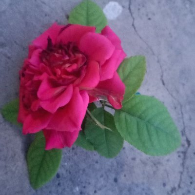 MaheshTamb63094's profile picture. 