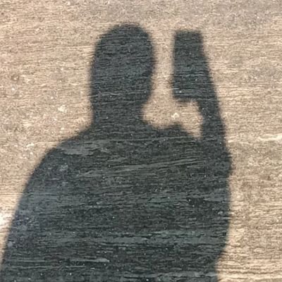 nseasterse's profile picture. unseriously using X