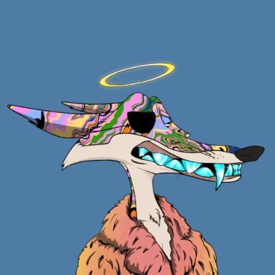 paampitさんのプロフィール画像
