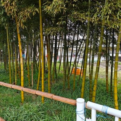 stopcw2022's profile picture. 