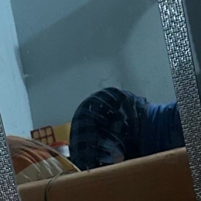 sleepy_shauny's profile picture. Phat ass tiger