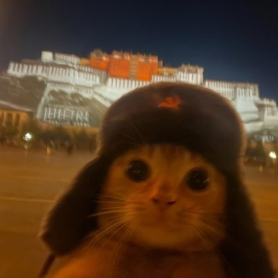 DesertShadowTV's profile picture. Creador de contenido en mis ratos libres
https://t.co/647F858sT9
https://t.co/cxgd9KwQuy