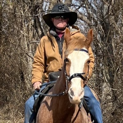 Trygge427's profile picture. 