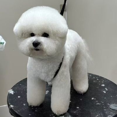 Dcsp077's profile picture. there is always a way out with God