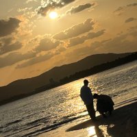 Nuts 高槻 Aoi (@nuts_aoi) 's Twitter Profile