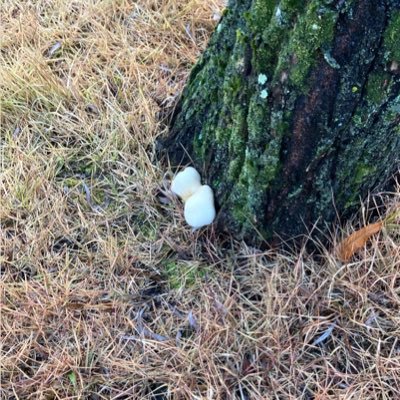 あいおさんのプロフィール画像