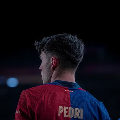 PedriEmbeds's profile picture. 